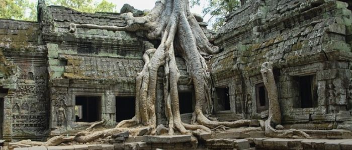El templo Ta Prohm convice con la selva