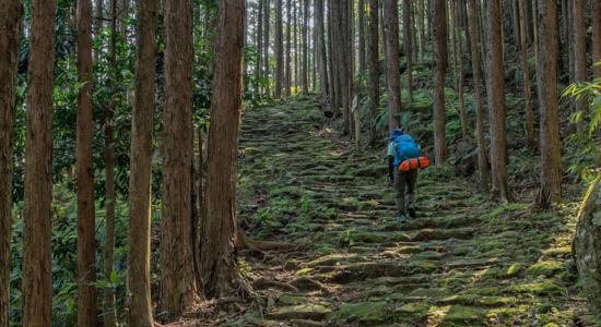 Información práctica sobre qué ver y cómo organizar un viaje por las rutas de peregrinación de Japón